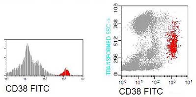 Flow Cytometry - FITC Anti-CD38 antibody [GR7A4] (AB90877), expandable thumbnail