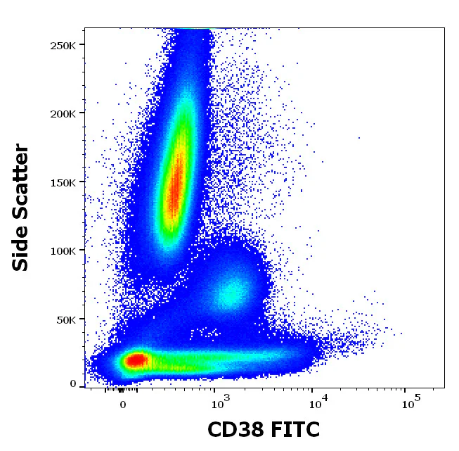 Flow Cytometry - FITC Anti-CD38 antibody [HIT2] (AB326486)