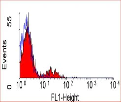 Flow Cytometry - FITC Anti-CD39 antibody [A1] (AB30423)