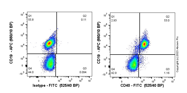 Flow Cytometry - FITC Anti-CD40 antibody [EPR18005-35] (AB314951), expandable thumbnail