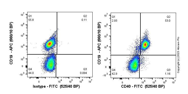 Flow Cytometry - FITC Anti-CD40 antibody [EPR18005-35] (AB314951)