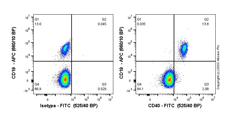 Flow Cytometry - FITC Anti-CD40 antibody [EPR20735] (AB314949)