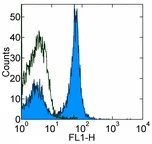 Flow Cytometry - FITC Anti-CD40 antibody [HM40-3] (AB95535)