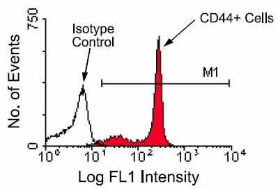 Flow Cytometry - FITC Anti-CD44 antibody [KM201] (AB25064), expandable thumbnail