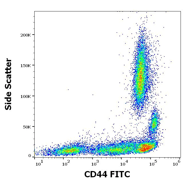 Flow Cytometry - FITC Anti-CD44 antibody [MEM-263] (AB95138)