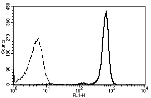 Flow Cytometry - FITC Anti-CD45 antibody [B-A11] (AB27287)