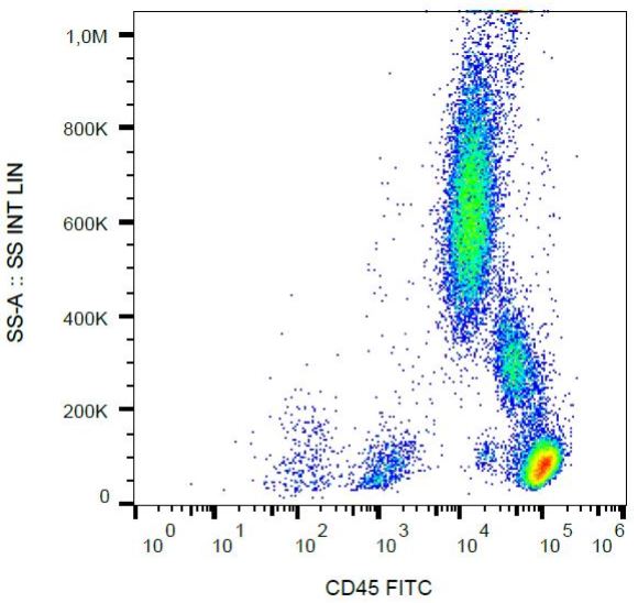 Flow Cytometry - FITC Anti-CD45 antibody [MEM-28] (AB134199), expandable thumbnail