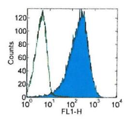 Flow Cytometry - FITC Anti-CD47 antibody [B6H12] (AB134484)