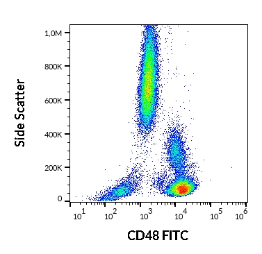 Flow Cytometry - FITC Anti-CD48 antibody [MEM-102] (AB21885), expandable thumbnail