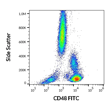 Flow Cytometry - FITC Anti-CD48 antibody [MEM-102] (AB21885)