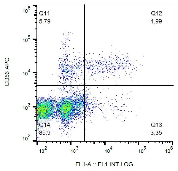 Flow Cytometry - FITC Anti-CD57 antibody [TB01] (AB239253)