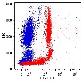 Flow Cytometry - FITC Anti-CD58 antibody [MEM-63] (AB26006)