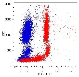 Flow Cytometry - FITC Anti-CD58 antibody [MEM-63] (AB26006)