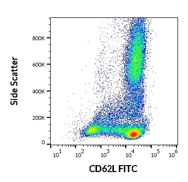 Flow Cytometry - FITC Anti-CD62L antibody [DREG-56] (AB95140)