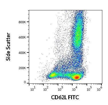 Flow Cytometry - FITC Anti-CD62L antibody [DREG-56] (AB95140)