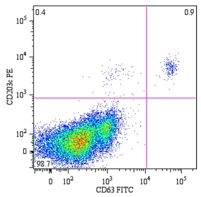 Anti-CD63 FITC antibody [MEM-259] (ab18235) Mouse monoclonal IgG1