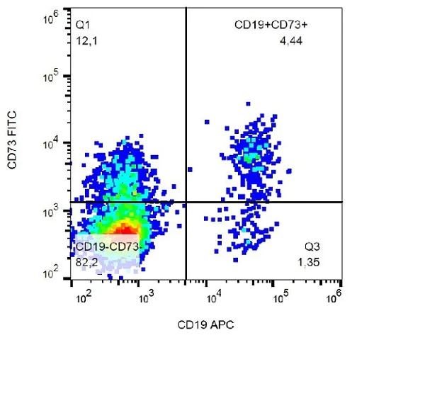 Flow Cytometry - FITC Anti-CD73 antibody [AD2] (AB239246)