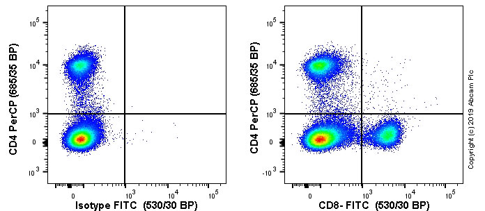 Flow Cytometry - FITC Anti-CD8 alpha antibody [EPR21769] (AB237367), expandable thumbnail