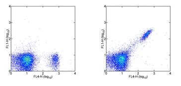 Flow Cytometry - FITC Anti-CD8 beta antibody [H35-17.2] (AB95773)