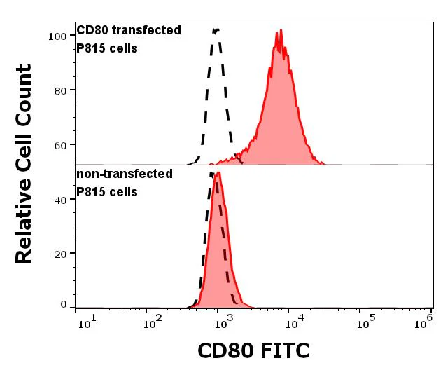 Flow Cytometry - FITC Anti-CD80 antibody [MEM-233] (AB18279)