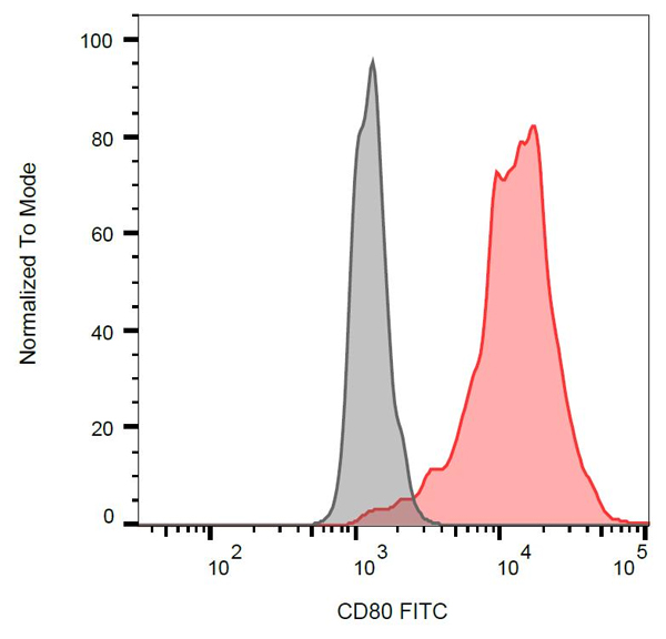Flow Cytometry - FITC Anti-CD80 antibody [MEM-233] (AB18279)