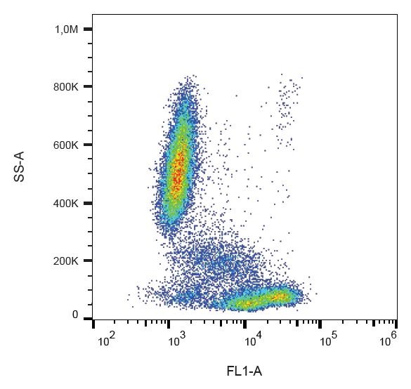 Flow Cytometry - FITC Anti-CD81 antibody [M38] (AB239256)