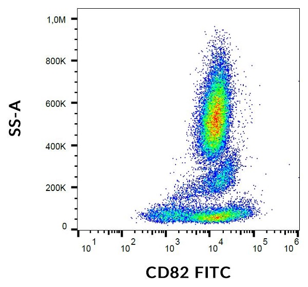 Flow Cytometry - FITC Anti-CD82 antibody [C33] (AB176514), expandable thumbnail