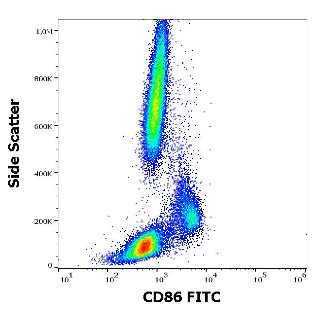 Flow Cytometry - FITC Anti-CD86 antibody [BU63] (AB77276), expandable thumbnail