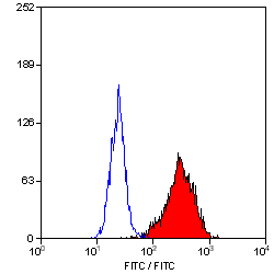 Flow Cytometry - FITC Anti-CD90 / Thy1 antibody [F15-42-1] (AB11155)