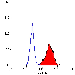 Flow Cytometry - FITC Anti-CD90 / Thy1 antibody [F15-42-1] (AB11155)