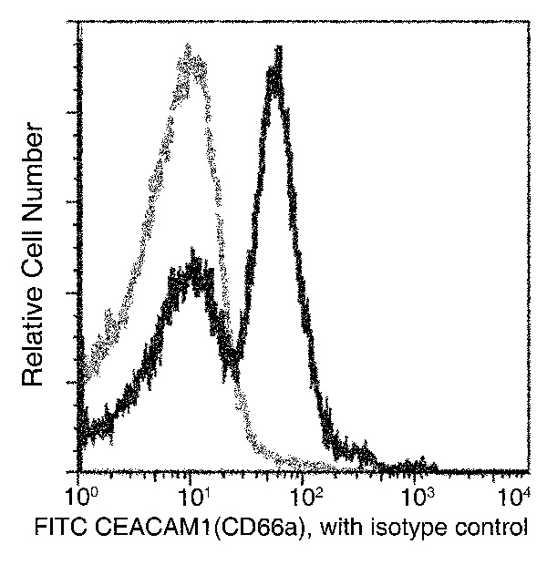 Flow Cytometry - FITC Anti-CEACAM1 antibody [117] (AB275672)