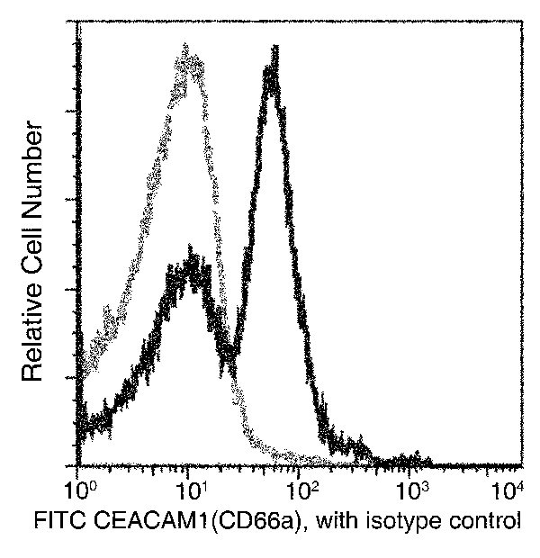 Flow Cytometry - FITC Anti-CEACAM1 antibody [117] (AB275672)
