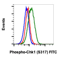 Flow Cytometry - FITC Anti-Chk1 (phospho S317) antibody [Chk1S317-G1] (AB278590)