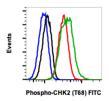 Flow Cytometry - FITC Anti-Chk2 (phospho T68) antibody [Chk2T68-D12] (AB278651), expandable thumbnail
