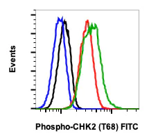 Flow Cytometry - FITC Anti-Chk2 (phospho T68) antibody [Chk2T68-D12] (AB278651)