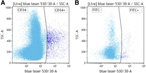 Conjugation - FITC Conjugation Kit (Fast) - Lightning-Link® (AB188285)