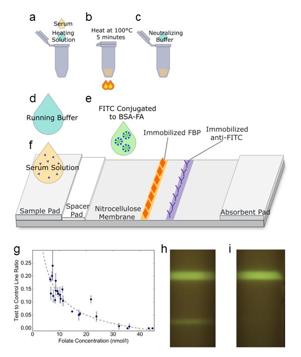 FITC Conjugation Kit (Fast) - Lightning-Link® (ab188285) | Abcam