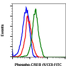 Flow Cytometry - FITC Anti-CREB (phospho S133) antibody [CREBS133-4D11] (AB278578)
