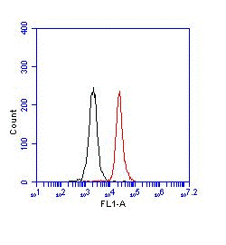Flow Cytometry (Intracellular) - FITC Anti-Ctip2 antibody [25B6] (AB123449), expandable thumbnail
