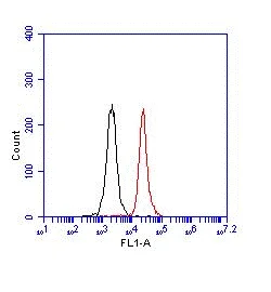 Flow Cytometry (Intracellular) - FITC Anti-Ctip2 antibody [25B6] (AB123449)
