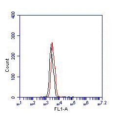 Flow Cytometry (Intracellular) - FITC Anti-Ctip2 antibody [25B6] (AB123449), expandable thumbnail