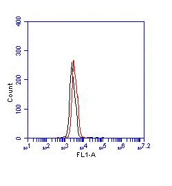 Flow Cytometry (Intracellular) - FITC Anti-Ctip2 antibody [25B6] (AB123449)