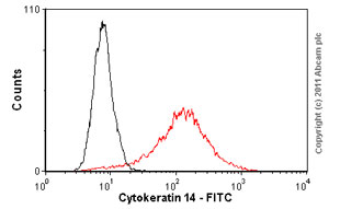 FITC Anti-Cytokeratin 14 antibody [LL002]