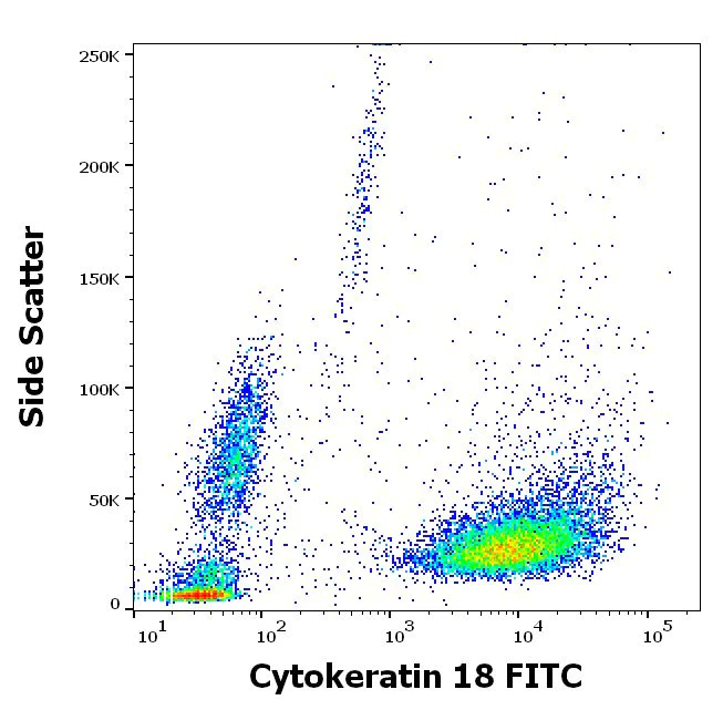 Flow Cytometry (Intracellular) - FITC Anti-Cytokeratin 18 antibody [C-04] (AB52459)