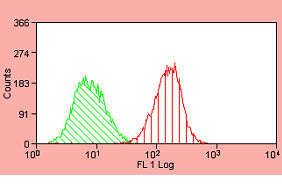 Flow Cytometry - FITC Anti-EGFR antibody [ICR10] (AB11400), expandable thumbnail