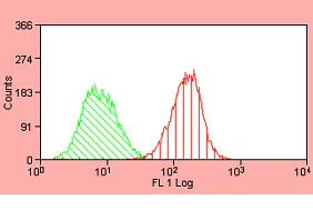 Flow Cytometry - FITC Anti-EGFR antibody [ICR10] (AB11400)