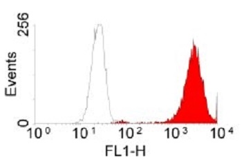 Flow Cytometry - FITC Anti-EGFR antibody [ICR10] (AB11400), expandable thumbnail