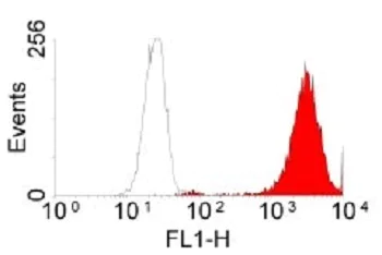 Flow Cytometry - FITC Anti-EGFR antibody [ICR10] (AB11400)