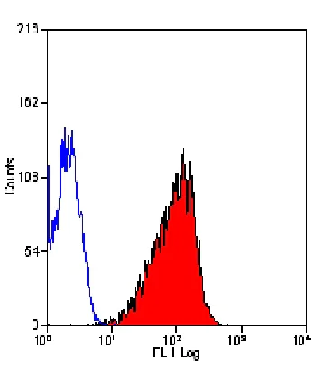 Flow Cytometry - FITC Anti-EGFR antibody [ICR10] (AB11400)