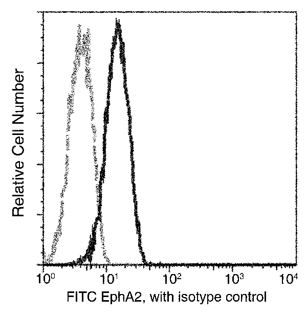 Flow Cytometry - FITC Anti-Eph receptor A2 antibody [101] (AB275594)